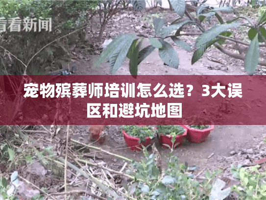 宠物殡葬师培训怎么选？3大误区和避坑地图