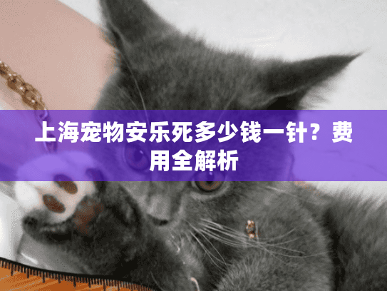 上海宠物安乐死多少钱一针？费用全解析