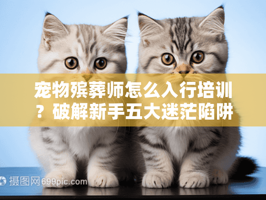 宠物殡葬师怎么入行培训?破解新手五大迷茫陷阱 宠物殡葬师怎么入行培训?破解新手五大迷茫陷阱