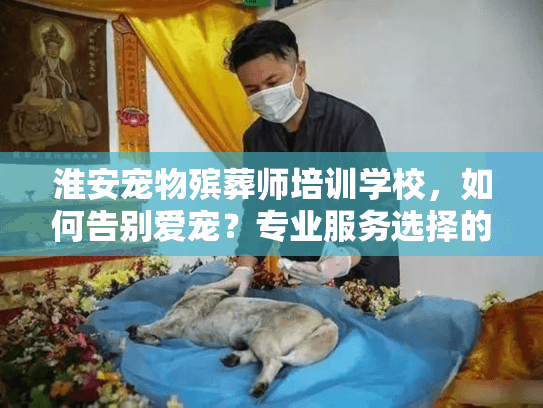 淮安宠物殡葬师培训学校，如何告别爱宠？专业服务选择的秘密