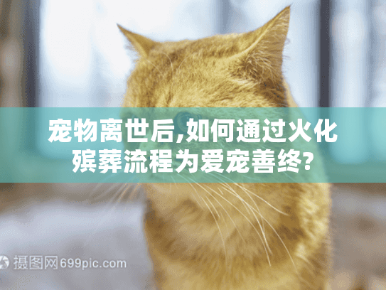 宠物离世后,如何通过火化殡葬流程为爱宠善终?