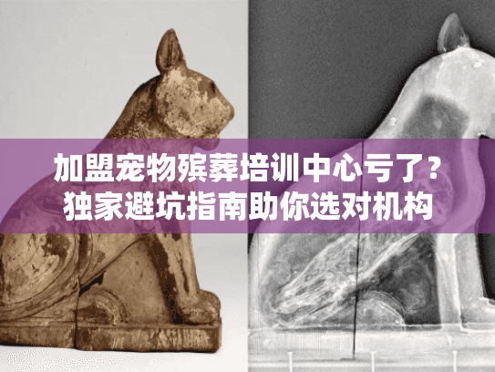 加盟宠物殡葬培训中心亏了?独家避坑指南助你选对机构 加盟宠物殡葬培训中心亏了?独家避坑指南助你选对机构