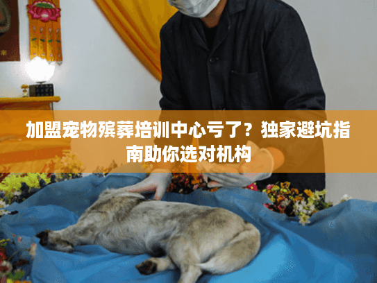 加盟宠物殡葬培训中心亏了?独家避坑指南助你选对机构 加盟宠物殡葬培训中心亏了?独家避坑指南助你选对机构