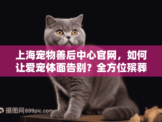 上海宠物善后中心官网，如何让爱宠体面告别？全方位殡葬服务指南