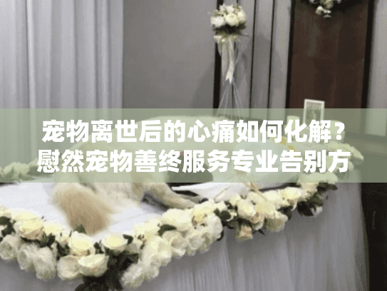宠物离世后的心痛如何化解？慰然宠物善终服务专业告别方案
