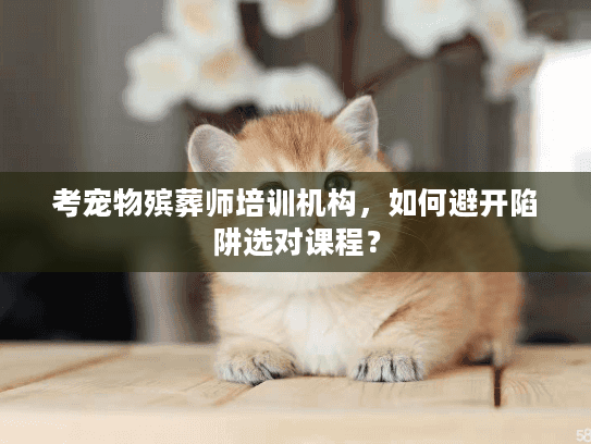 考宠物殡葬师培训机构，如何避开陷阱选对课程？