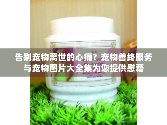 告别宠物离世的心痛？宠物善终服务与宠物图片大全集为您提供慰藉