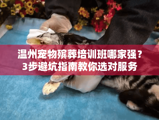 温州宠物殡葬培训班哪家强?3步避坑指南教你选对服务 温州宠物殡葬培训班哪家强?3步避坑指南教你选对服务