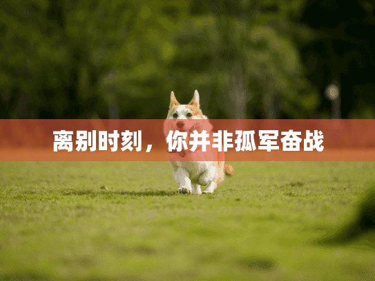 离别时刻，你并非孤军奋战