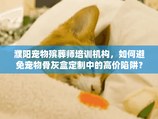 濮阳宠物殡葬师培训机构，如何避免宠物骨灰盒定制中的高价陷阱？