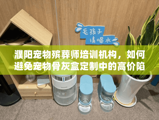 濮阳宠物殡葬师培训机构，如何避免宠物骨灰盒定制中的高价陷阱？