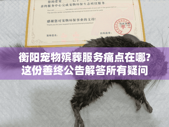 衡阳宠物殡葬服务痛点在哪?这份善终公告解答所有疑问