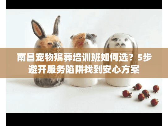 南昌宠物殡葬培训班如何选?5步避开服务陷阱找到安心方案 南昌宠物殡葬培训班如何选?5步避开服务陷阱找到安心方案