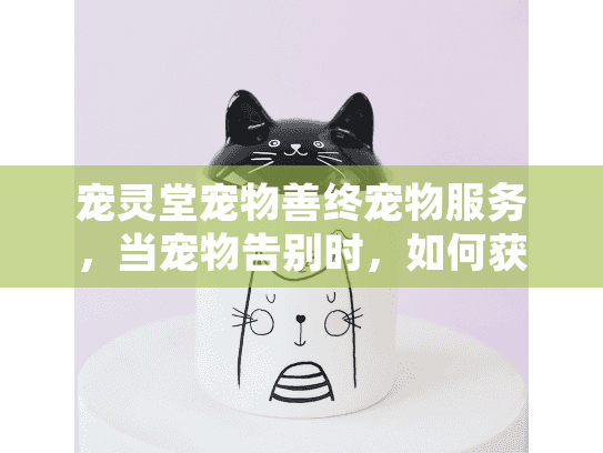 宠灵堂宠物善终宠物服务，当宠物告别时，如何获得专业告别方案？