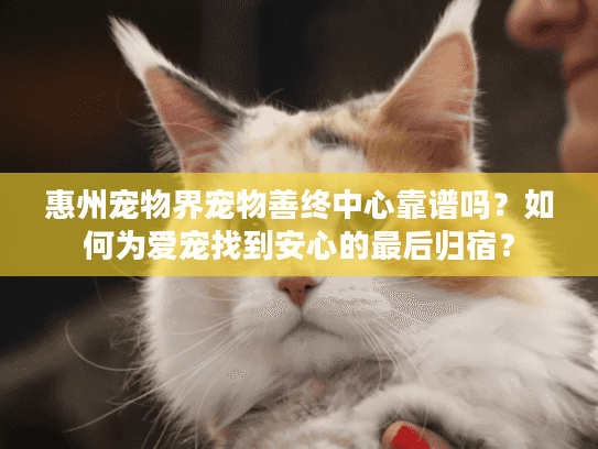 惠州宠物界宠物善终中心靠谱吗？如何为爱宠找到安心的最后归宿？
