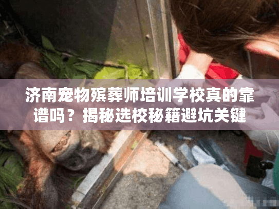 济南宠物殡葬师培训学校真的靠谱吗？揭秘选校秘籍避坑关键