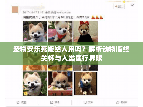 宠物安乐死能给人用吗？解析动物临终关怀与人类医疗界限