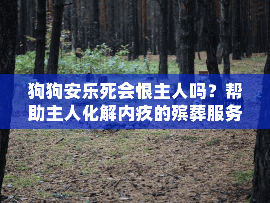 狗狗安乐死会恨主人吗？帮助主人化解内疚的殡葬服务指南