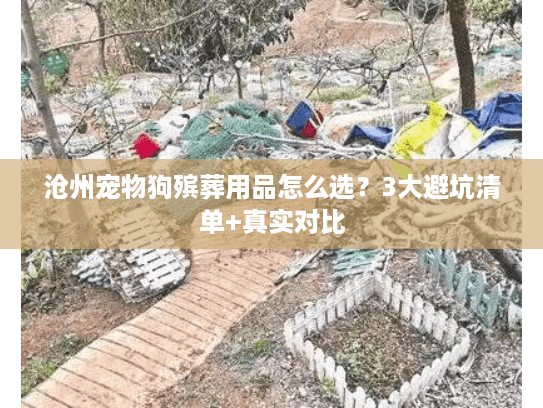沧州宠物狗殡葬用品怎么选？3大避坑清单+真实对比