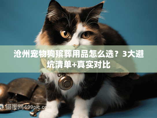 沧州宠物狗殡葬用品怎么选？3大避坑清单+真实对比