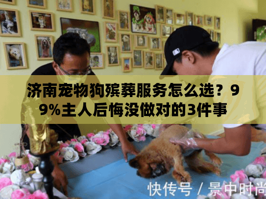 济南宠物狗殡葬服务怎么选？99%主人后悔没做对的3件事
