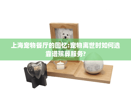 上海宠物餐厅的回忆:宠物离世时如何选靠谱殡葬服务?