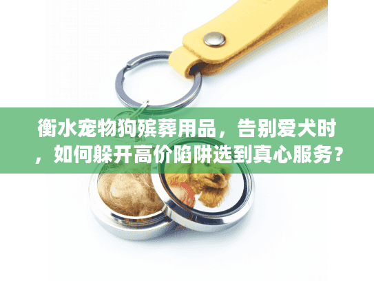 衡水宠物狗殡葬用品，告别爱犬时，如何躲开高价陷阱选到真心服务？
