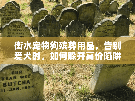 衡水宠物狗殡葬用品，告别爱犬时，如何躲开高价陷阱选到真心服务？