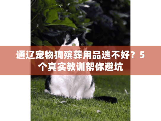 通辽宠物狗殡葬用品选不好？5个真实教训帮你避坑