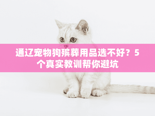 通辽宠物狗殡葬用品选不好？5个真实教训帮你避坑