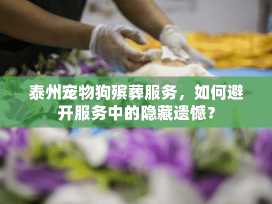 泰州宠物狗殡葬服务，如何避开服务中的隐藏遗憾？