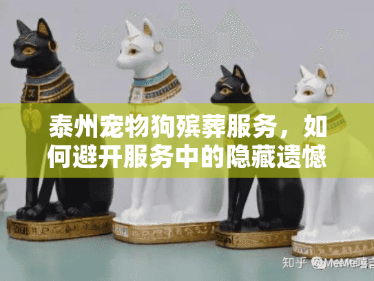 泰州宠物狗殡葬服务，如何避开服务中的隐藏遗憾？