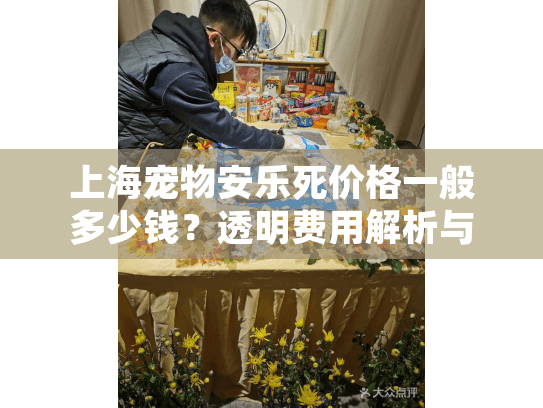 上海宠物安乐死价格一般多少钱？透明费用解析与温暖告别指南