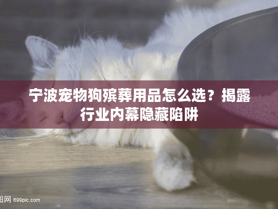 宁波宠物狗殡葬用品怎么选？揭露行业内幕隐藏陷阱