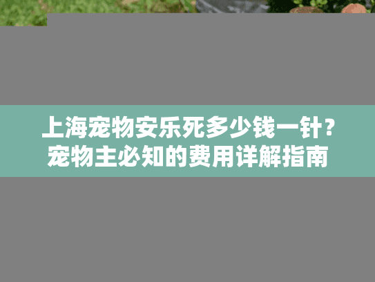 上海宠物安乐死多少钱一针？宠物主必知的费用详解指南