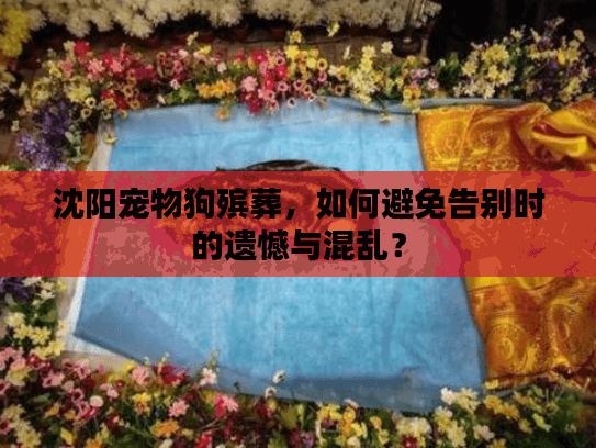 沈阳宠物狗殡葬，如何避免告别时的遗憾与混乱？