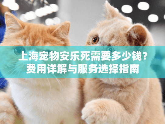 上海宠物安乐死需要多少钱？费用详解与服务选择指南