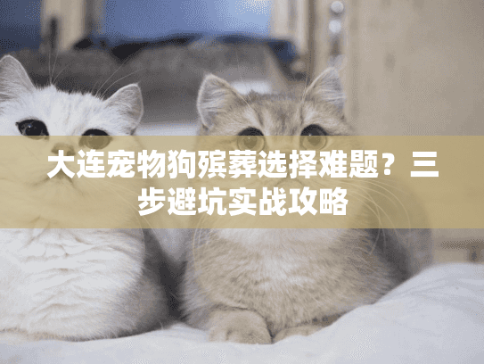 大连宠物狗殡葬选择难题？三步避坑实战攻略