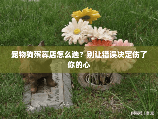 宠物狗殡葬店怎么选?别让错误决定伤了你的心 宠物狗殡葬店怎么选?别让错误决定伤了你的心