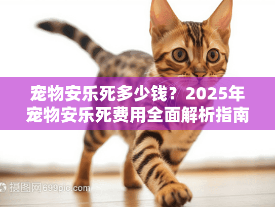 宠物安乐死多少钱？2025年宠物安乐死费用全面解析指南