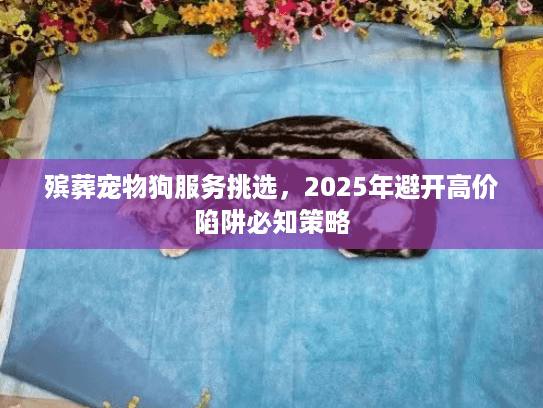 殡葬宠物狗服务挑选，2025年避开高价陷阱必知策略