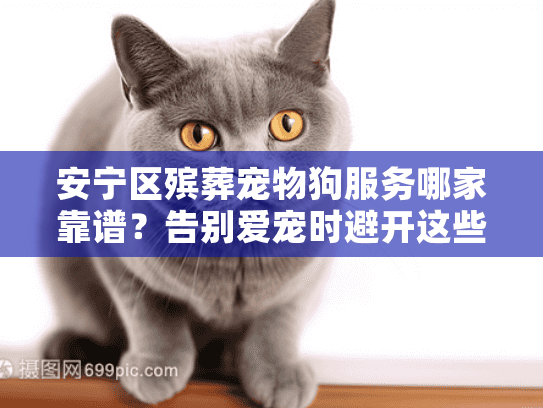 安宁区殡葬宠物狗服务哪家靠谱？告别爱宠时避开这些隐藏陷阱