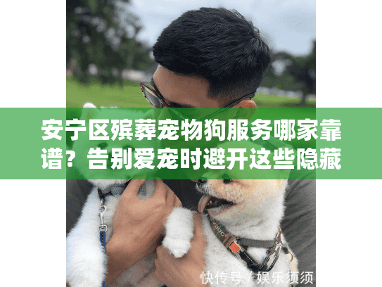 安宁区殡葬宠物狗服务哪家靠谱？告别爱宠时避开这些隐藏陷阱