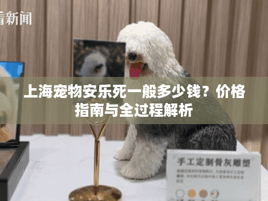 上海宠物安乐死一般多少钱？价格指南与全过程解析