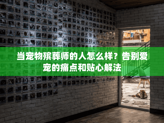 当宠物殡葬师的人怎么样？告别爱宠的痛点和贴心解法
