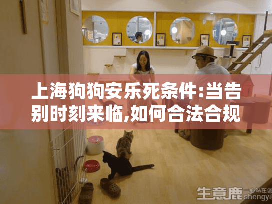 上海狗狗安乐死条件:当告别时刻来临,如何合法合规减轻宠物痛苦?