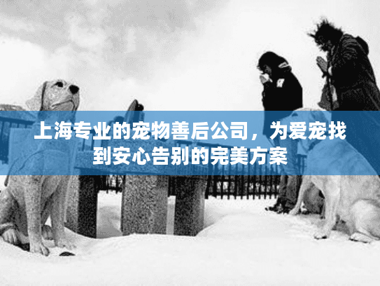 上海专业的宠物善后公司，为爱宠找到安心告别的完美方案