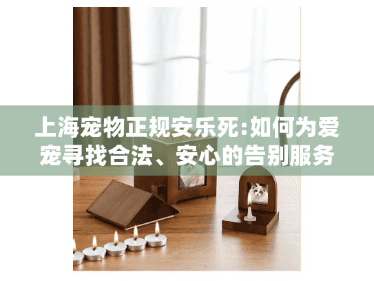 上海宠物正规安乐死:如何为爱宠寻找合法、安心的告别服务?