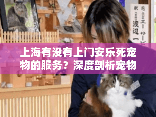 上海有没有上门安乐死宠物的服务？深度剖析宠物临终关怀方案