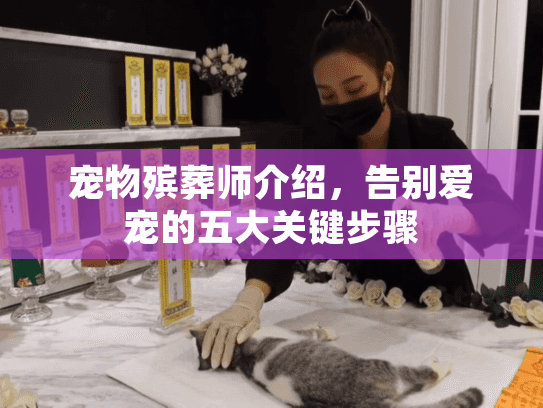 宠物殡葬师介绍,告别爱宠的五大关键步骤 宠物殡葬师介绍,告别爱宠的五大关键步骤